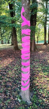 Rožnati oktober (8)